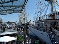 Hafen HH 822   013